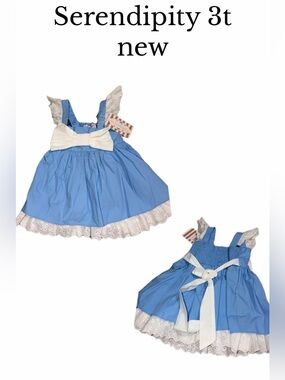 Serendipity 2t dress or 3t tunic